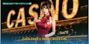 giới thiệu nhacaiuytin