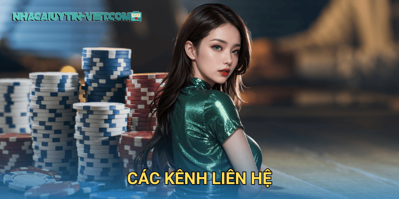 Các Kênh Liên Hệ