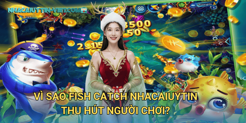 Vì sao Fish Catch nhacaiuytin thu hút người chơi?