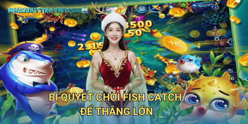 Bí quyết chơi Fish Catch để thắng lớn