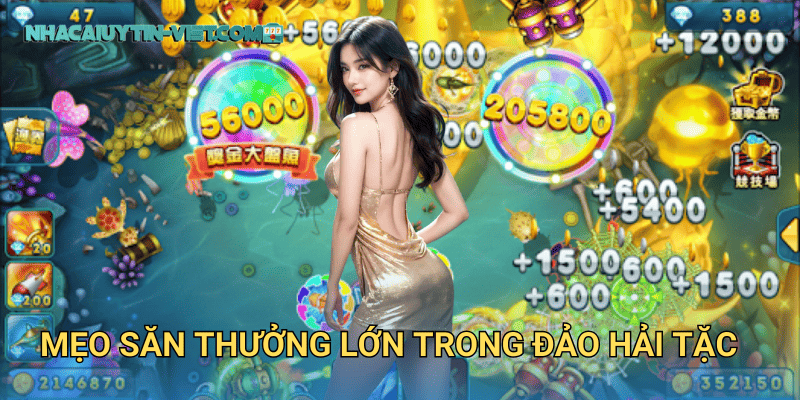 Mẹo săn thưởng lớn trong Đảo Hải Tặc