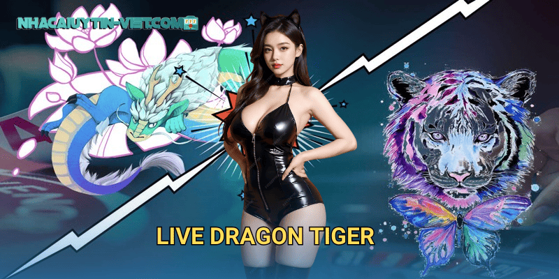 Live Dragon Tiger