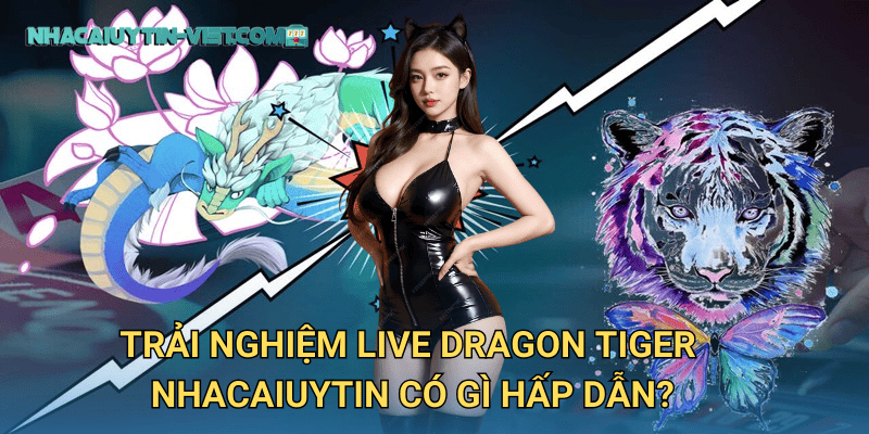 Trải nghiệm Live Dragon Tiger nhacaiuytin có gì hấp dẫn?