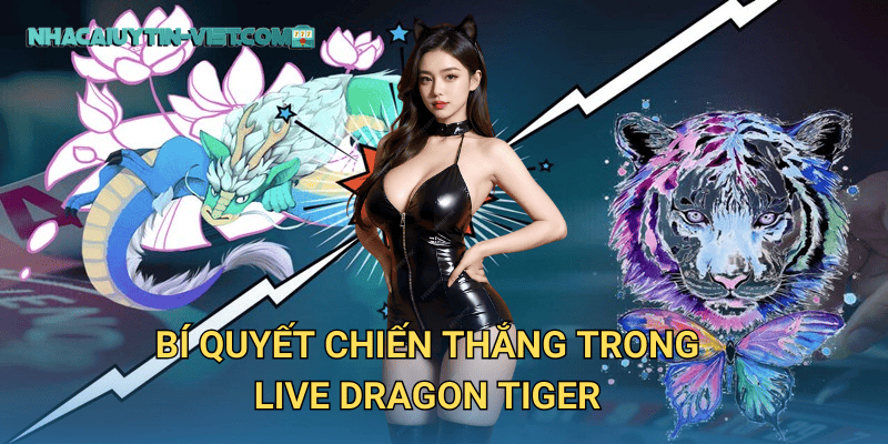 Bí quyết chiến thắng trong Live Dragon Tiger