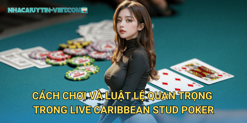 Live Caribbean Stud Poker tại nhacaiuytin – Poker Phong Cách Mới Lạ 2 Cách chơi và luật lệ quan trọng trong Live Caribbean Stud Poker