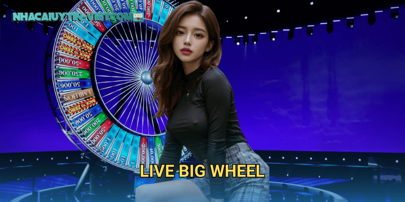 Live Big Wheel