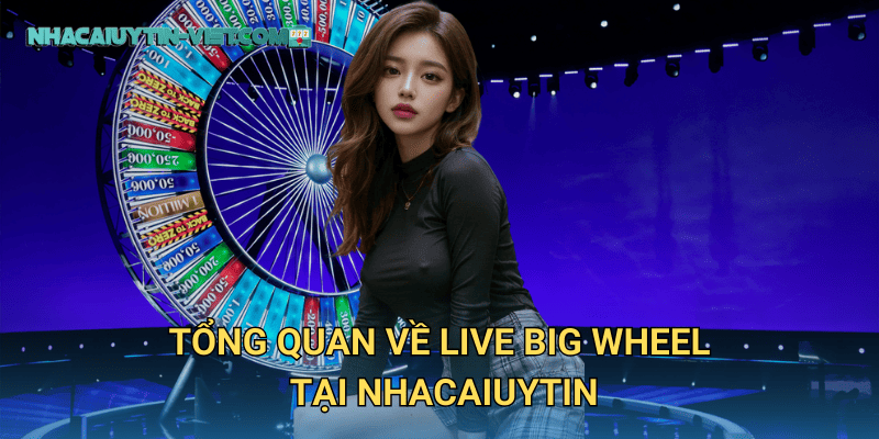 Trải nghiệm Live Big Wheel tại nhacaiuytin – Vòng quay may mắn cho mọi người chơi 2 Bí quyết thắng lớn khi chơi Live Big Wheel của cao thủ