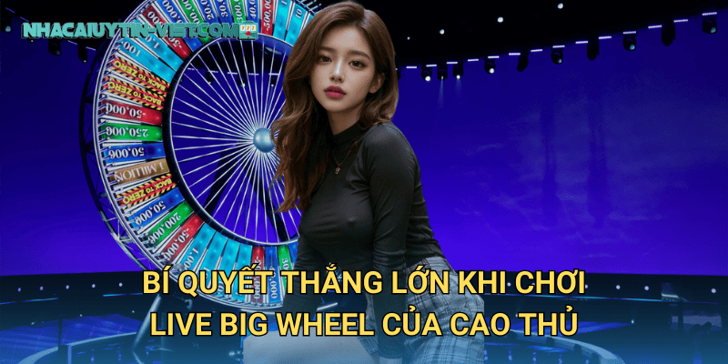 Trải nghiệm Live Big Wheel tại nhacaiuytin – Vòng quay may mắn cho mọi người chơi 3 Bí quyết thắng lớn khi chơi Live Big Wheel của cao thủ