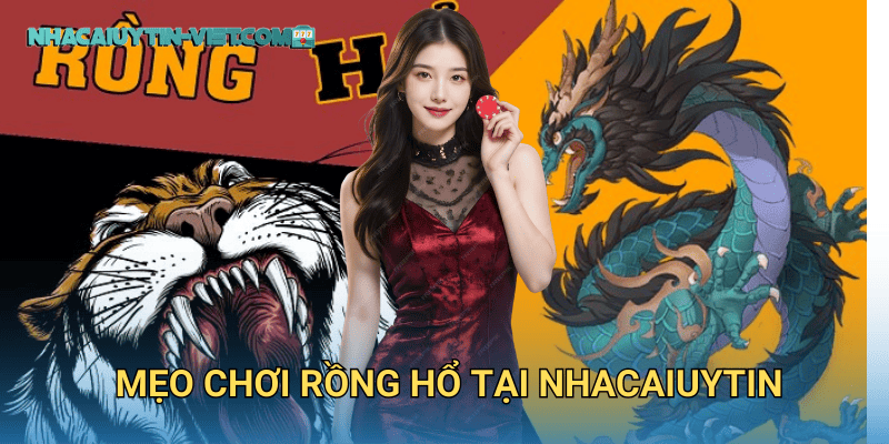 Mẹo Chơi Rồng Hổ tại nhacaiuytin